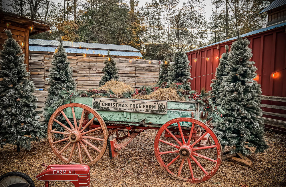 Fall mini session sample